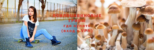 мдпв Арсеньев