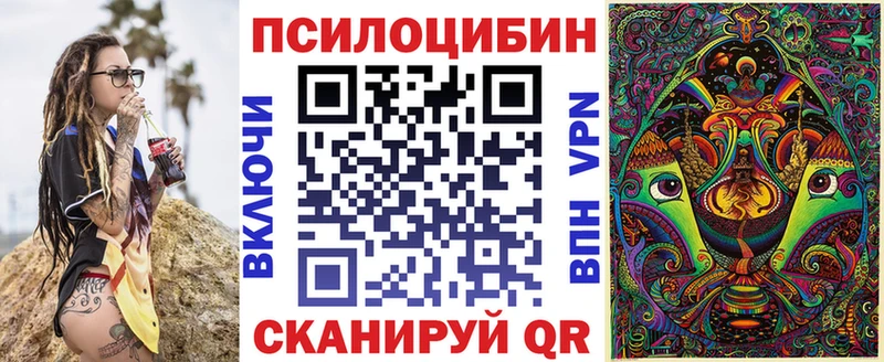 kraken как зайти  сколько стоит  Соль-Илецк  Псилоцибиновые грибы мухоморы 